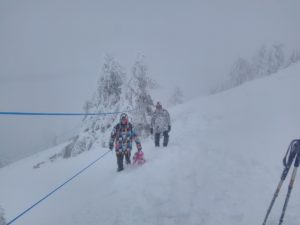 Installation de la mise en défens sur le Môle