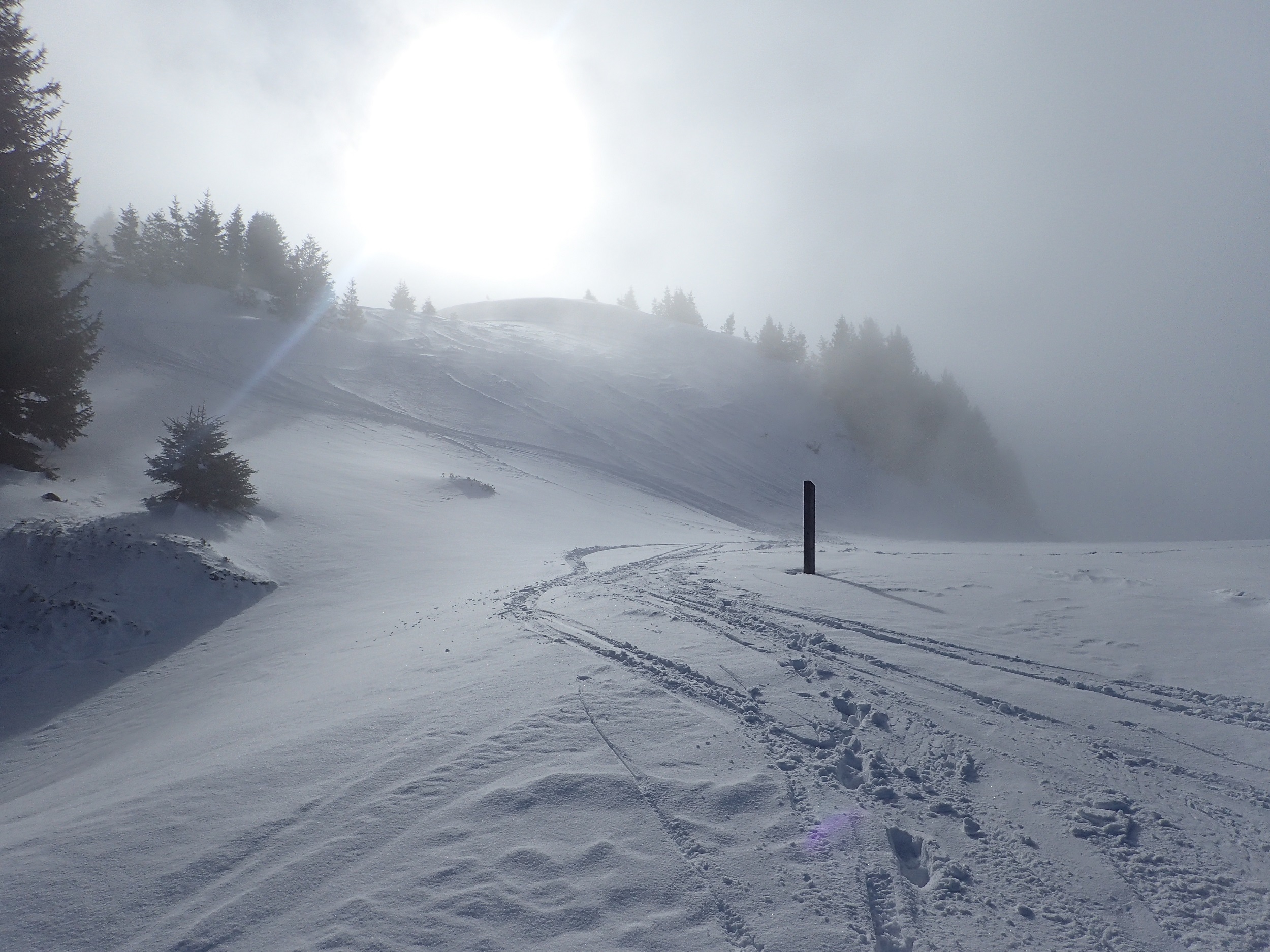 Traces de ski hors piste