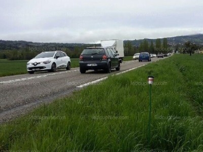 Collision faune bord de route